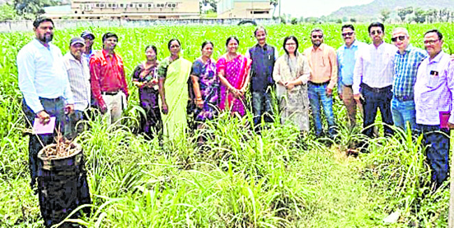 ‘తల్లికి వందనం’ ఎప్పుడంటూ ప్రశ్నిస్తున్న జనం 
5