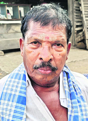 పచ్చళ్లకు మామిడికాయ రెడీ 3