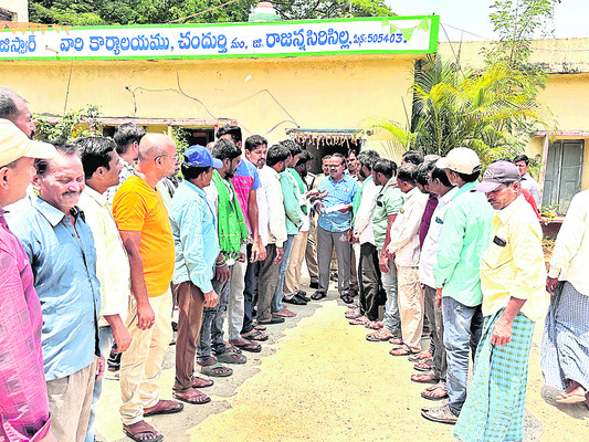 ధాన్యం కొనుగోలు చేయండి1