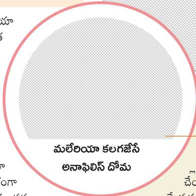 మలేరియా పట్ల అప్రమత్తం1