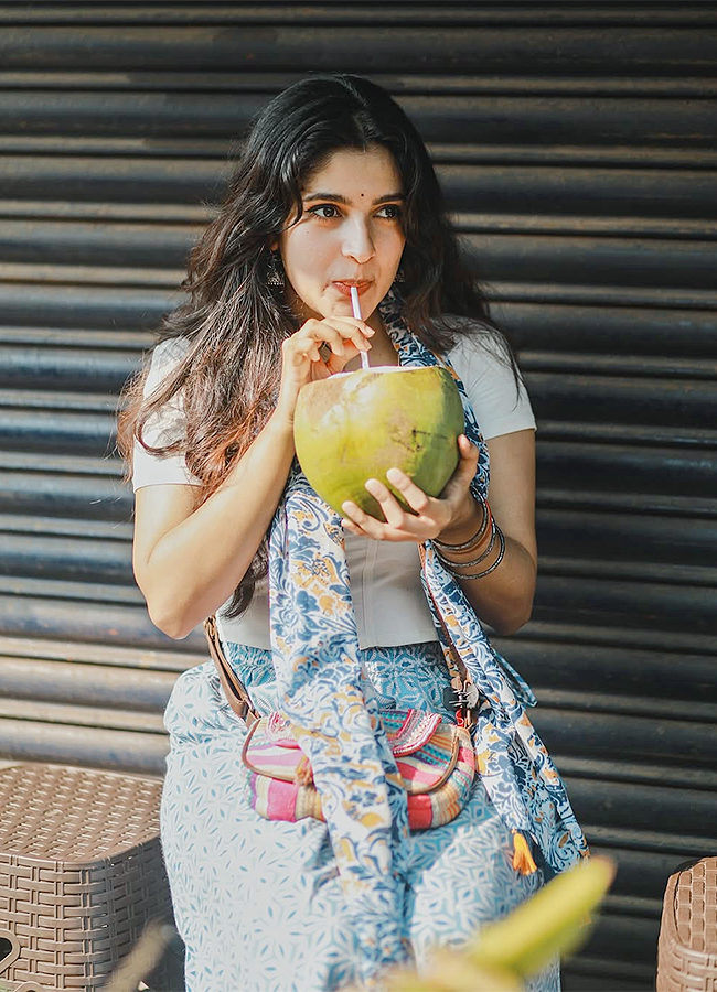 malayalam actress meenakshi dinesh latest photos11