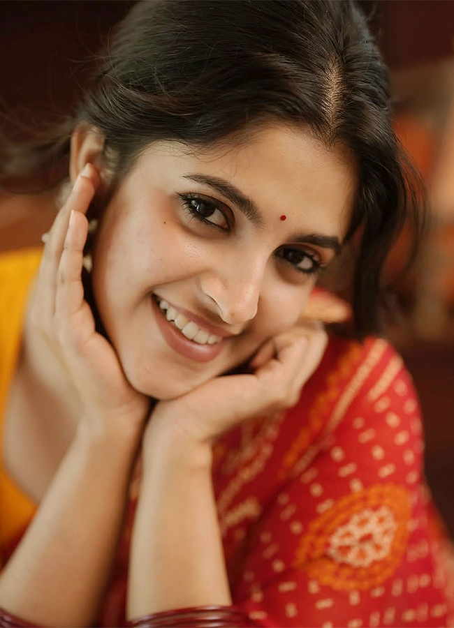 malayalam actress meenakshi dinesh latest photos13