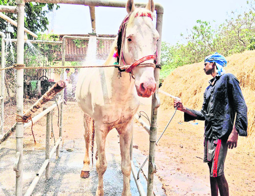 వారెవ్వా.. షవర్‌ బాత్‌3