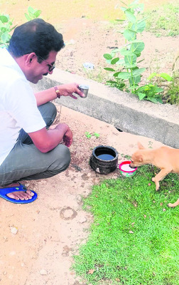 జైలును పరిశుభ్రంగా ఉంచాలి
6