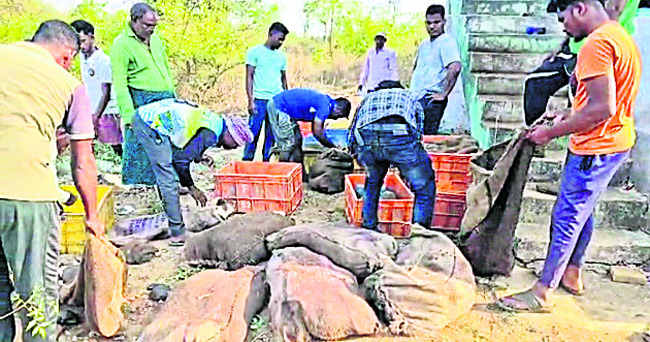 కస్తూరి రంగన్ మృతికి గవర్నర్ సంతాపం 1