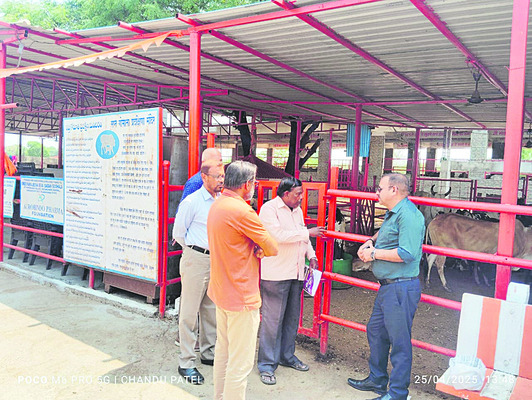 గాలికుంటు టీకాలు తప్పనిసరి: విజయ్‌2