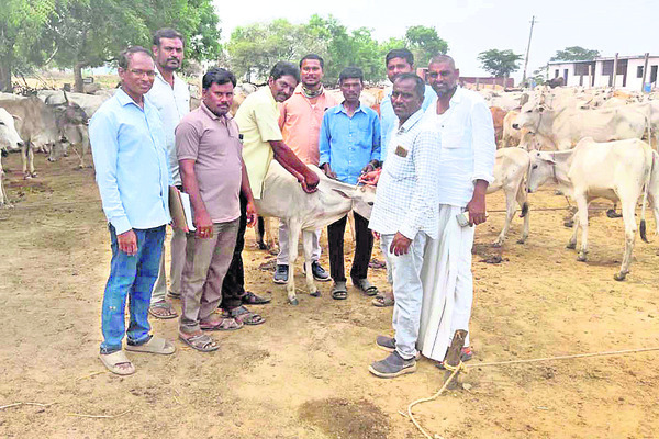 నిర్మల్‌1