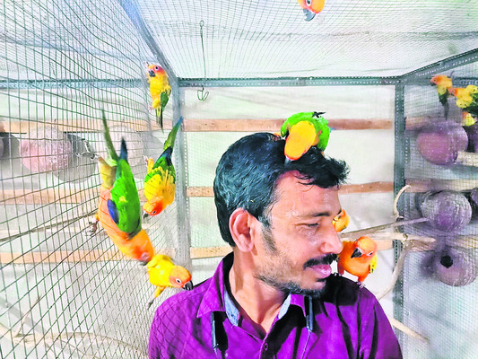 పక్షులే ప్రాణంగా! 3