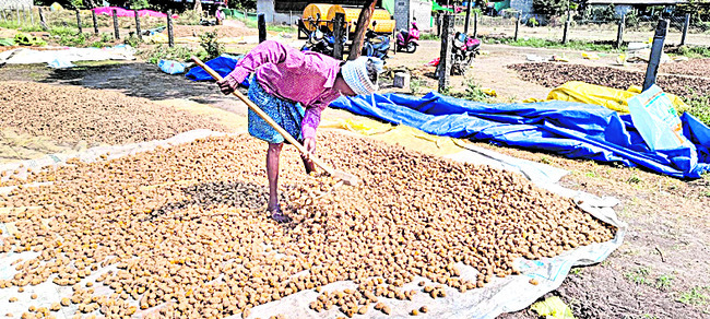 గిట్టుబాటు లేని సేద్యం 1