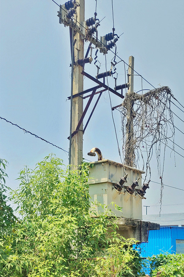 Best Photos of The Week in AP and Telangana Photo Gallery22