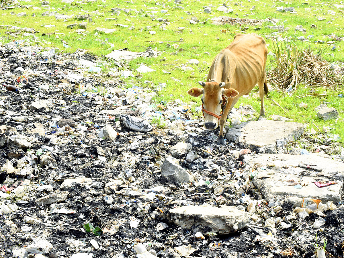 Best Photos of The Week in AP and Telangana Photo Gallery30