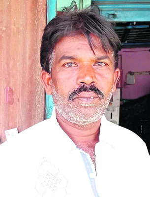 మేలో పూర్తి స్థాయిలో దిగుబడి
1