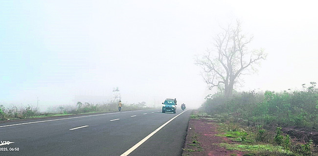 ● గుర్రపు డెక్క.. పూసెను ఎంచక్కా 2