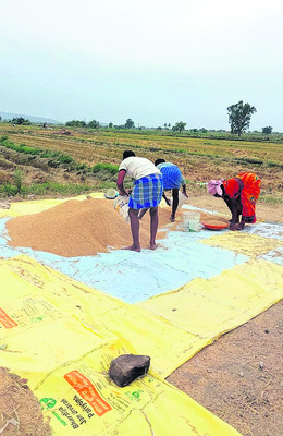 అన్నదాతలను ముంచిన అకాల వర్షం 2