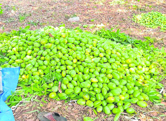 అన్నదాతపై ప్రకృతి కన్నెర్ర3