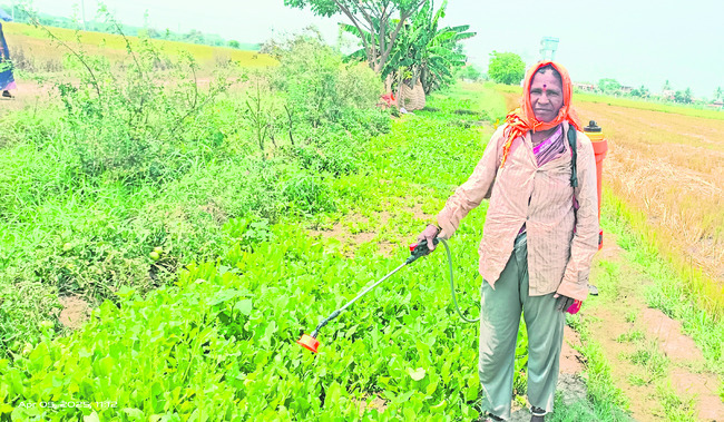 కూరగాయలు C/o అంకోల్‌ క్యాంప్‌1