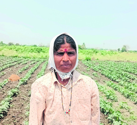 కూరగాయలు C/o అంకోల్‌ క్యాంప్‌4