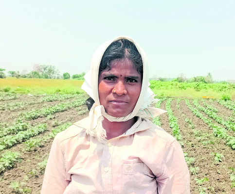 కూరగాయలు C/o అంకోల్‌ క్యాంప్‌2