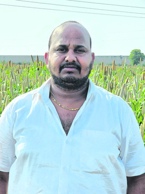 ఆరుతడికి ఆదరణ ఏదీ?2