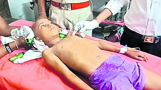 చిరుత, ఎలుగు దాడులు1