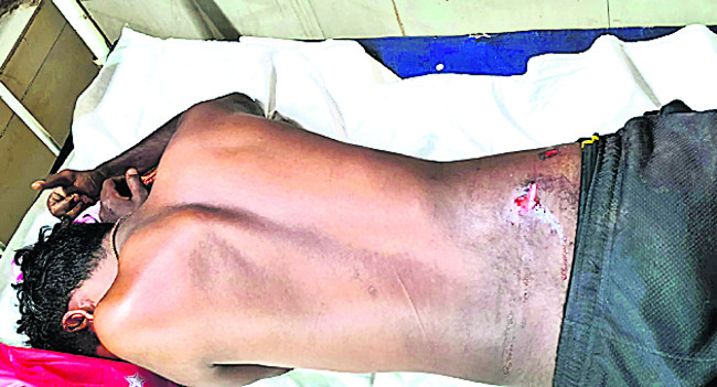 చిరుత, ఎలుగు దాడులు2