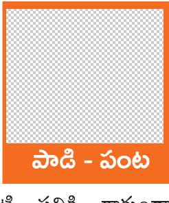 వేరుశెనగ కోత తర్వాత జాగ్రత్తలు 2