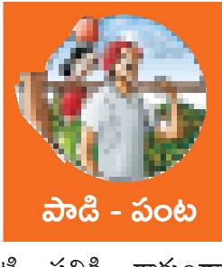 వేరుశెనగ కోత తర్వాత జాగ్రత్తలు 2