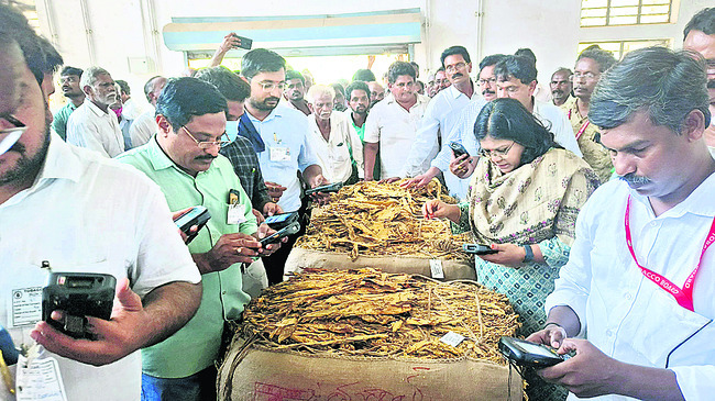 భారీగా పెరిగిన పెట్టుబడులు 
1