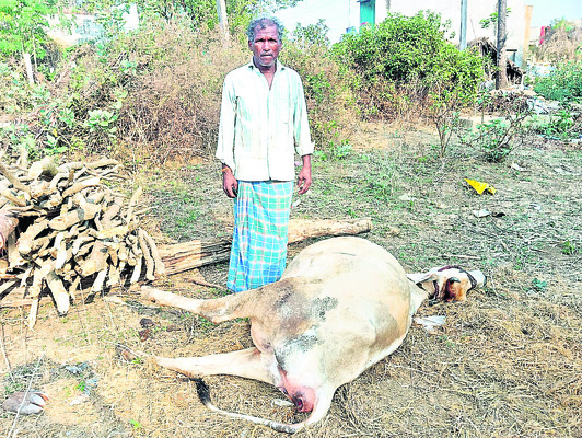 బధిరులకు టచ్ ఫోన్లు
1