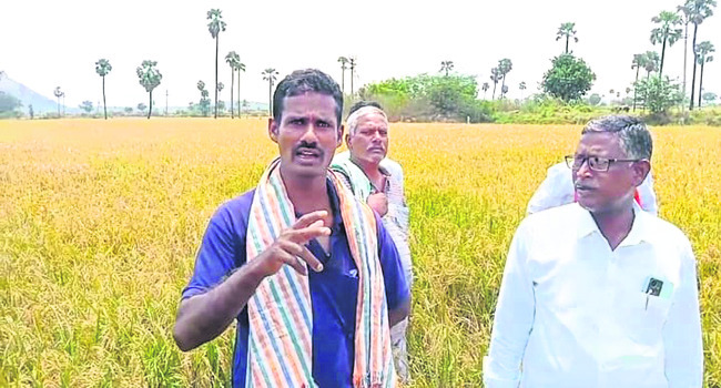 నష్టం రూ.10 కోట్లపైనే!3