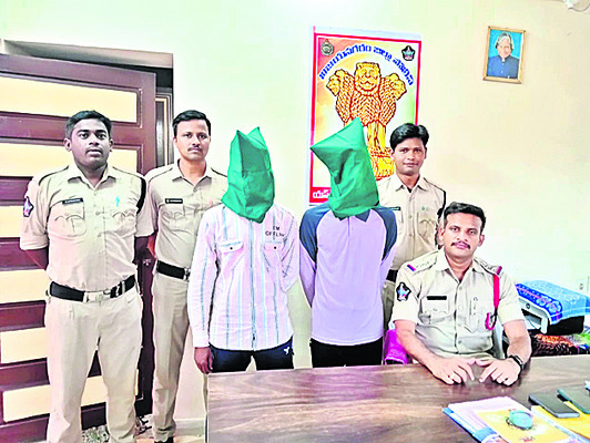 సృజన శ్రీకర్‌కు  గిన్నిస్‌బుక్‌లో స్థానం1