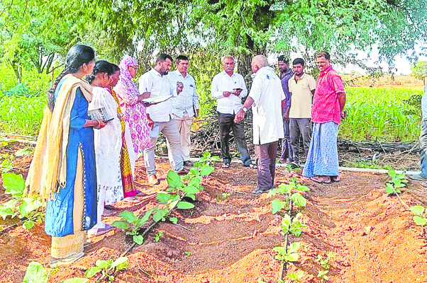 పైలెట్‌పై గంపెడాశలు! 1