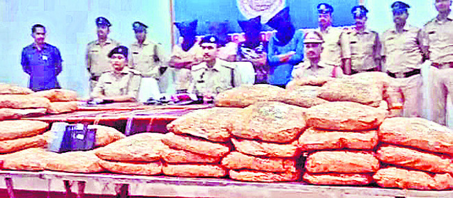 వంశధార నది దాటిన  జంట ఏనుగులు2