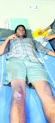 హంస వాహనంపై ఊరేగింపు
2