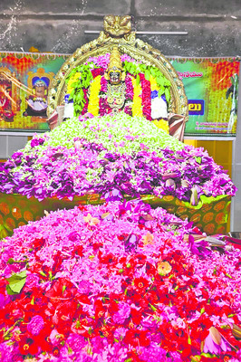 దుర్గమ్మకు ఎర్రకలువలు, మందార పుష్పాలతో అర్చన 1