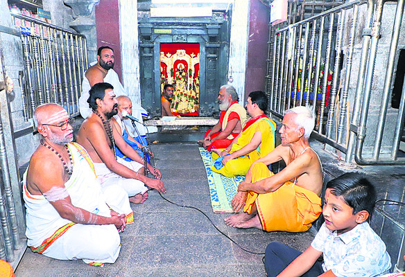 హంస వాహనంపై ఊరేగింపు
1