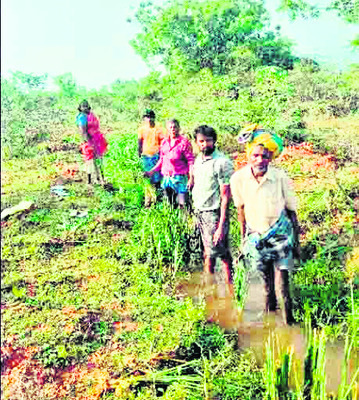 ఉపాధిలో4