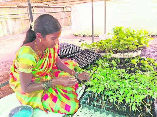 ఒకరు కాదు.. నలుగురు!
2