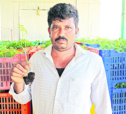 ఒకరు కాదు.. నలుగురు!
5