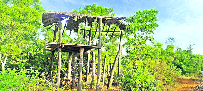 అపురూప సౌందర్యం.. అపార నిర్లక్ష్యం2