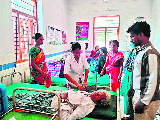 తేనెటీగల దాడి.. 23 మందికి గాయాలు 1