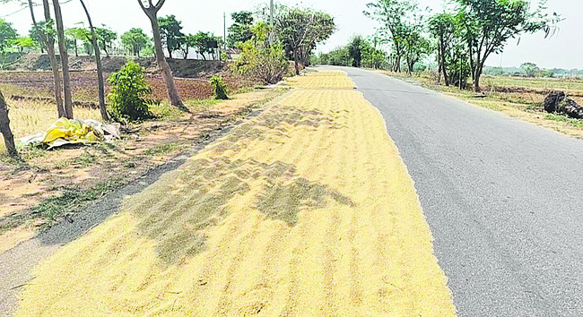 రోడ్లపైనే వడ్లు 1