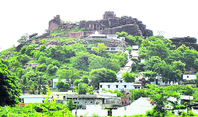 పచ్చదనానికి కేరాఫ్‌ కవ్వాల్‌4