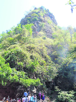 పచ్చదనానికి కేరాఫ్‌ కవ్వాల్‌6