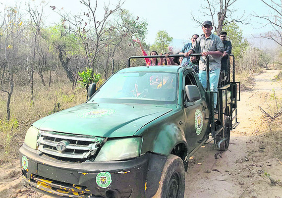 పచ్చదనానికి కేరాఫ్‌ కవ్వాల్‌5