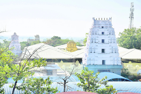 పచ్చదనానికి కేరాఫ్‌ కవ్వాల్‌1