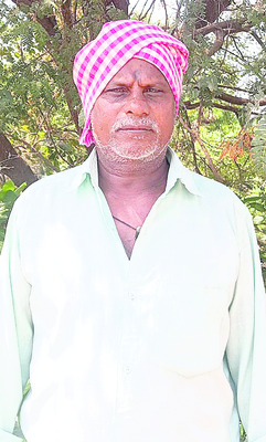 ఆరెకరాల్లో మక్క నేలవాలింది
1