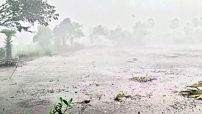 ఈదురు గాలులు, భారీ వర్షం 2