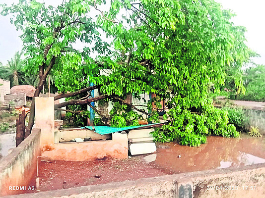ఈదురు గాలులు, భారీ వర్షం 3
