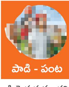 గంధకంతో ఉద్యాన పంటల్లో అధిక దిగుబడులు 2